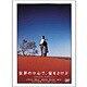世界の中心で、愛をさけぶ スペシャル・エディション [DVD]
