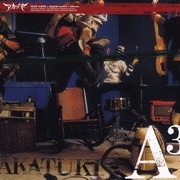 A3