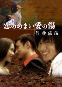 恋のめまい愛の傷 烈愛傷痕 DVD-BOX [DVD]