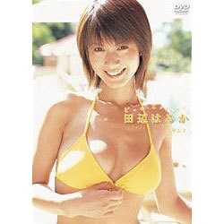 ヨドバシ Com Beach Angels ビーチ エンジェルズ 田辺はるか In サムイ Dvd 通販 全品無料配達