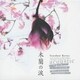 STARDUST REVUE／木蘭の涙 アコーステック