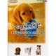 nintendogsまいにちこいぬといっしょ!－いちばんこいぬとなかよくなるほん [単行本]