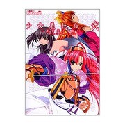 少女義経伝・弐-刻を超える契り-ザ・コンプリートガイド [単行本]