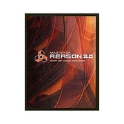 MASTER OF REASON 3.0 [単行本]