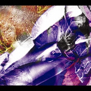 L'Arc～en～Ciel×P'UNK～EN～CIEL／Link