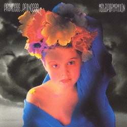 ヨドバシ.com - 10 Years After PRINCESS PRINCESS Premium Box