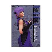 DEAD OR ALIVE 4 OFFICIAL GUIDE―BASIC FILE [単行本]
