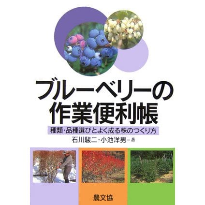 ブルーベリーの作業便利帳―種類・品種選びとよく成る株のつくり方 [単行本]