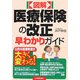 図解 医療保険の改正早わかりガイド [単行本]