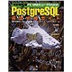 PC UNIXユーザのためのPostgreSQL完全攻略ガイド―豊富な機能と高い信頼性を誇るオープンソースデータベース 改訂第5版 [単行本]