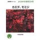 カエデ、モミジ(NHK趣味の園芸 よくわかる栽培12か月) [全集叢書]