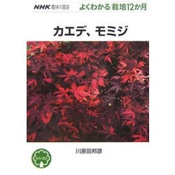 カエデ、モミジ(NHK趣味の園芸 よくわかる栽培12か月) [全集叢書]