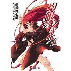 灼眼のシャナ〈9〉(電撃文庫) [文庫]