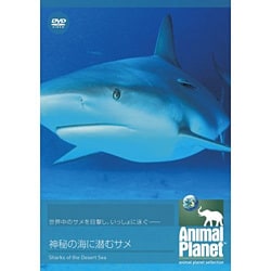 ヨドバシ Com アニマル プラネット 神秘の海に潜むサメ Dvd 通販 全品無料配達
