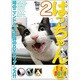はっちゃん the movie 2/噂のニャンドル・大好評のDVDリターンズ!! [DVD]