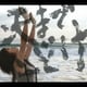 中村中／天までとどけ