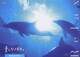 音のソノリティ ヒーリング・エディション Relax [DVD]