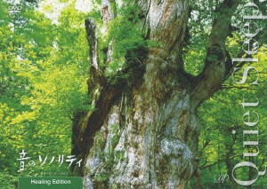音のソノリティ ヒーリング・エディション Quiet Sleep [DVD]