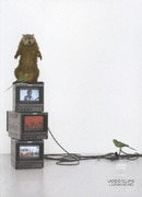 VIDEO CLIPS