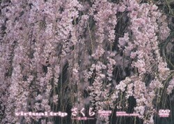 人気ブランドを ヨドバシ.com 通販【全品 [DVD] さくら-第二章- trip virtual - 自然