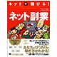 ネットで儲ける!ネット副業 [単行本]