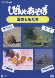Amazon.co.jp: しぜんとあそぼ ~鳥 はばたく ともだち~ [DVD] : DVD
