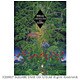 聖剣伝説4&CHILDREN of MANA公式設定資料集 [単行本]