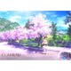 CLANNAD -クラナド- 1 [DVD]