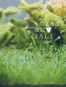 そのときは彼によろしく スペシャル・エディション