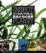 インセクト・プラネット 昆虫たちの世界