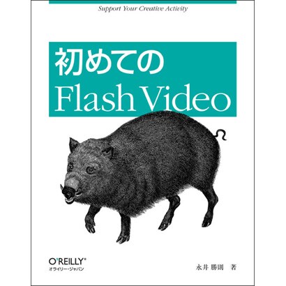 初めてのFlash Video [単行本]