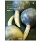 Dreamweaver虎の巻―Webプロフェッショナルのための黄金則 [単行本]