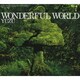 ゆず／WONDERFUL WORLD