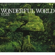WONDERFUL WORLD
