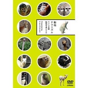 動物チラリズム カメラ目線動物写真DVD