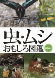 虫・ムシ おもしろ図鑑 DVDセット [DVD]