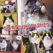 だいすき!! featuring P-A