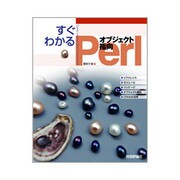 すぐわかるオブジェクト指向Perl [単行本]