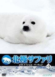 ヨドバシ Com 北極サファリ With ナイジェル マーヴェン Vol 5 Dvd 通販 全品無料配達 ヨドバシ Com 北極サファリ With ナイジェル マーヴェン Vol 5 Dvd 通販 全品無料配達