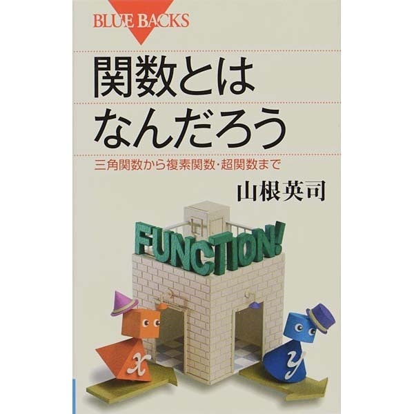 関数とはなんだろう―三角関数から複素関数・超関数まで(ブルーバックス) [新書]