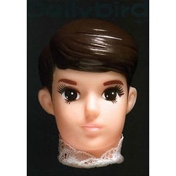 Dollybird〈vol.11〉 [単行本]