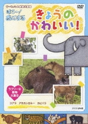 ヨドバシ.com - きょうのかわいい! ラブリーな動物大集合 (NHK DVD
