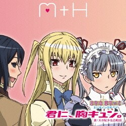 ヨドバシ Com 君に 胸キュン Tvアニメ まりあ ほりっく エンディングテーマ 通販 全品無料配達 ヨドバシ Com 君に 胸キュン Tvアニメ まりあ ほりっく エンディングテーマ 通販 全品無料配達
