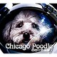 Chicago Poodle／オデッセイ