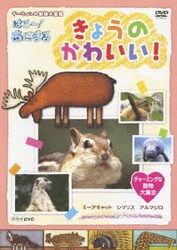 ヨドバシ.com - きょうのかわいい! チャーミングな動物大集合 (NHK DVD