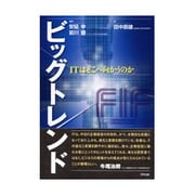 ビッグトレンド―ITはどこへ向かうのか [単行本]