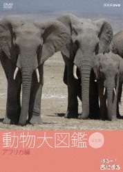 ヨドバシ.com - はろ～あにまる!動物大図鑑 1 アフリカ編 [DVD] 通販【全品無料配達】