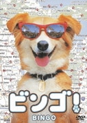 ビンゴ!