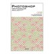 Photoshopクイック・リファレンス―CS4/CS3/CS2/CS/7.0対応 for Mac & Windows [単行本]