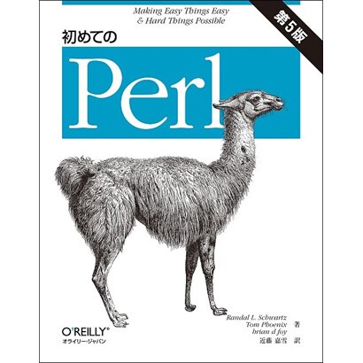 初めてのPerl [単行本]